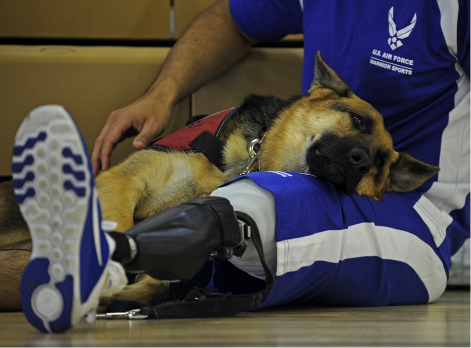 special-kids-paralympic-athlete-with-dog